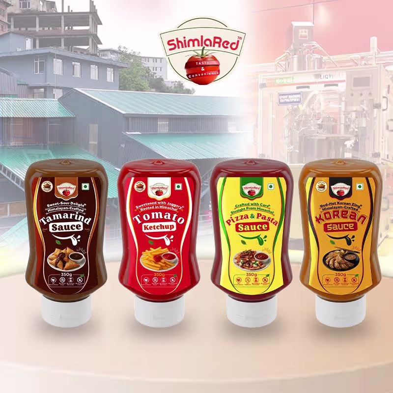 Best Tomato Ketchup in India