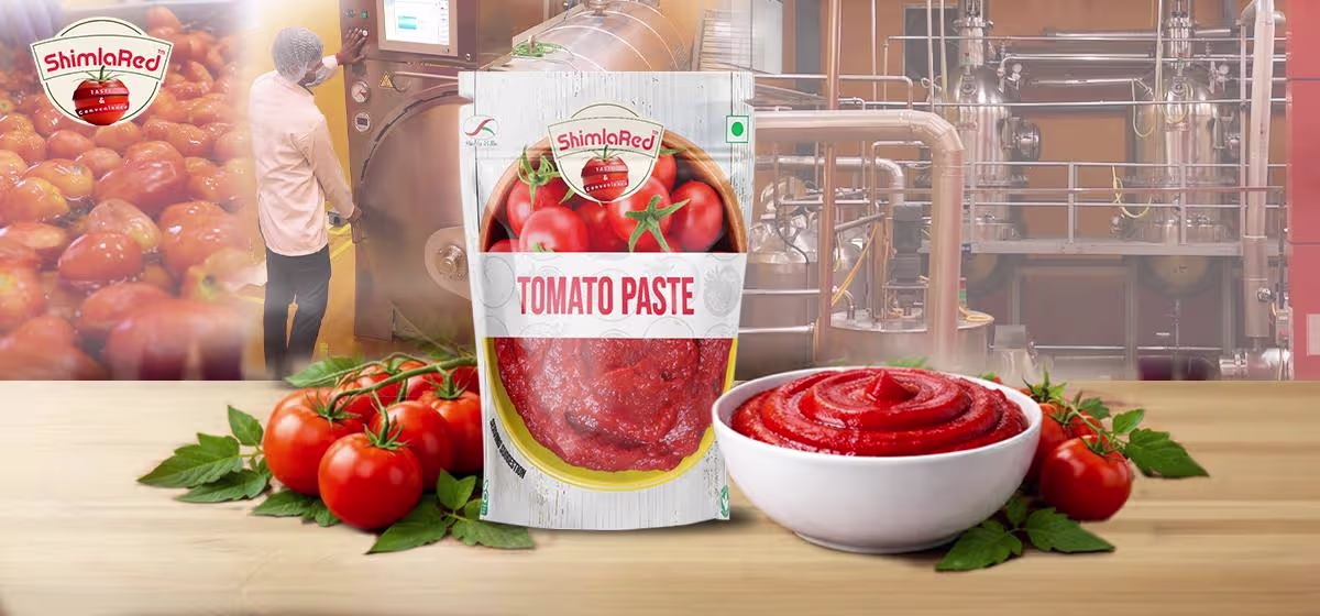 Tomato Paste Manufacturer ShimlaRed