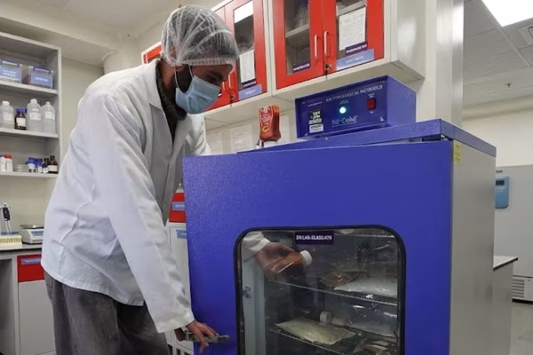 Ketchup Manufacturer ShimlaRed